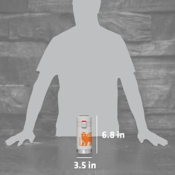 Buy ⌛ Stanley The Wild Imagination Flowsteady™ Bear Cub Bottle | 12 OZ 😀 -Sweese Elegant Shop B2B Web PNG The FlowSteady Bear Cub Bottle 12oz Ash PT05