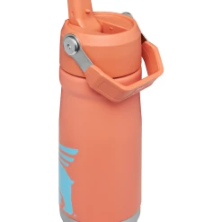 Sweese Elegant Shop -Sweese Elegant Shop B2B Web PNG The IceFlow Flip Straw Water Bottle 17oz Grapefruit Hero Back