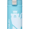 Cheapest 🤩 Stanley The Wild Imagination Flowsteady™ Big Bear Bottle | 17 OZ 😉
